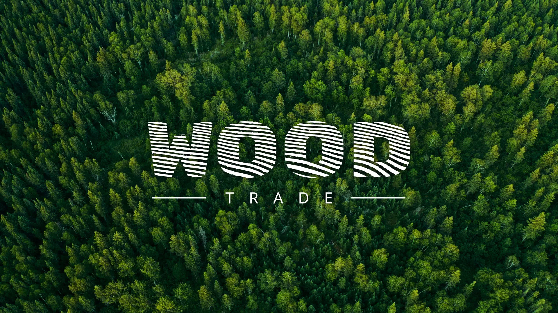 Разработка интернет-магазина компании «Wood Trade» в Каменск-Шахтинске